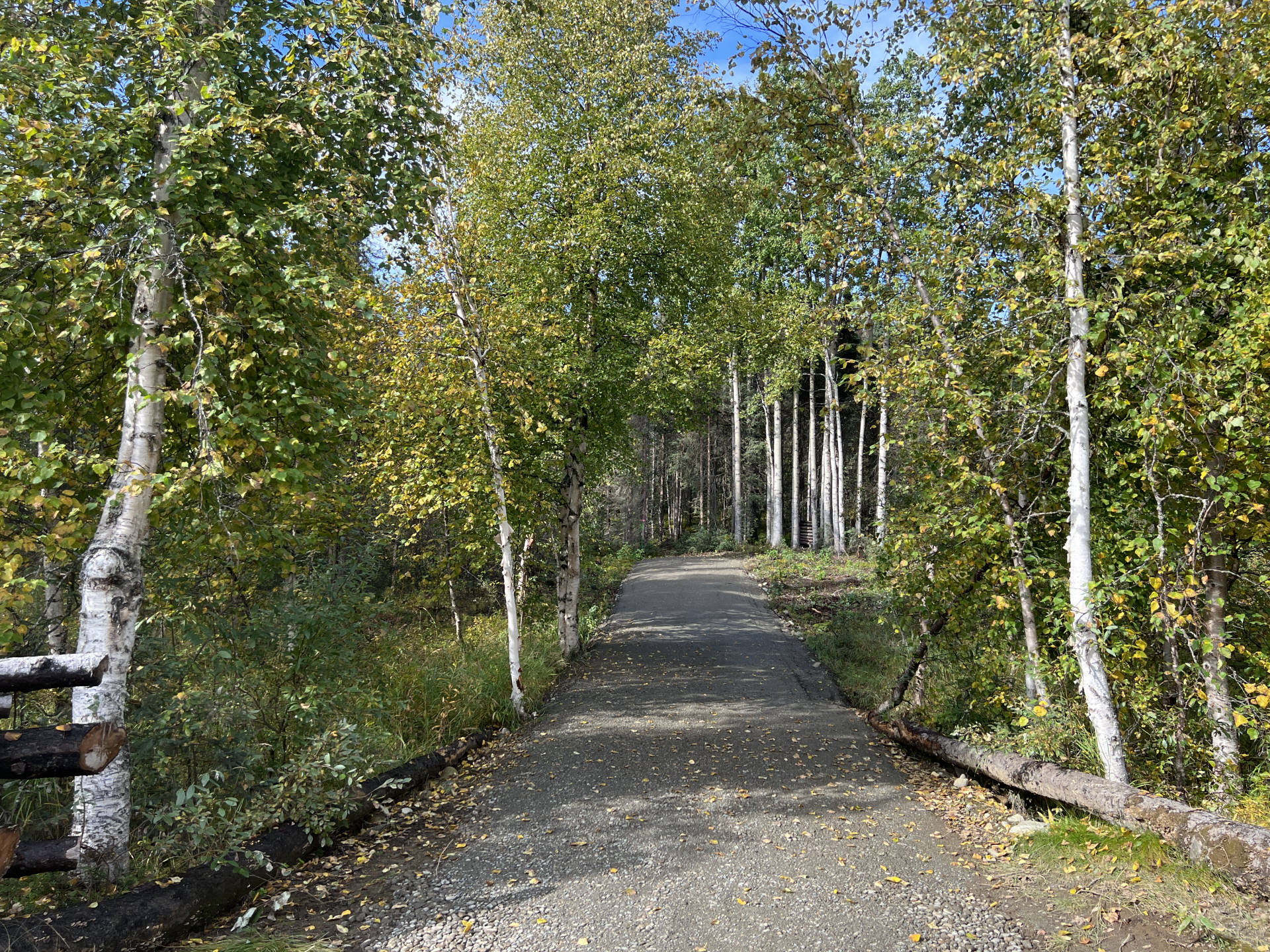 This is another lane for a walk to the red alder oasis. It is possible to park here if guests arrived in more than 45-50 cars and they did not have enough space in other parking lots.